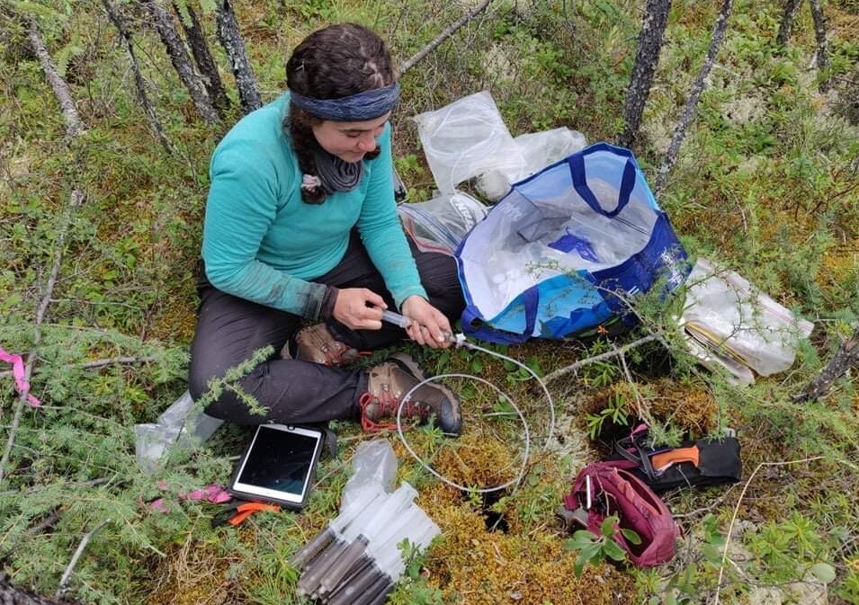 Researcher Kristen Bill collecting soil water samples in a peatland area near Norman Well, NWT.