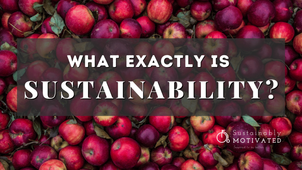 What Is Sustainability Exactly?