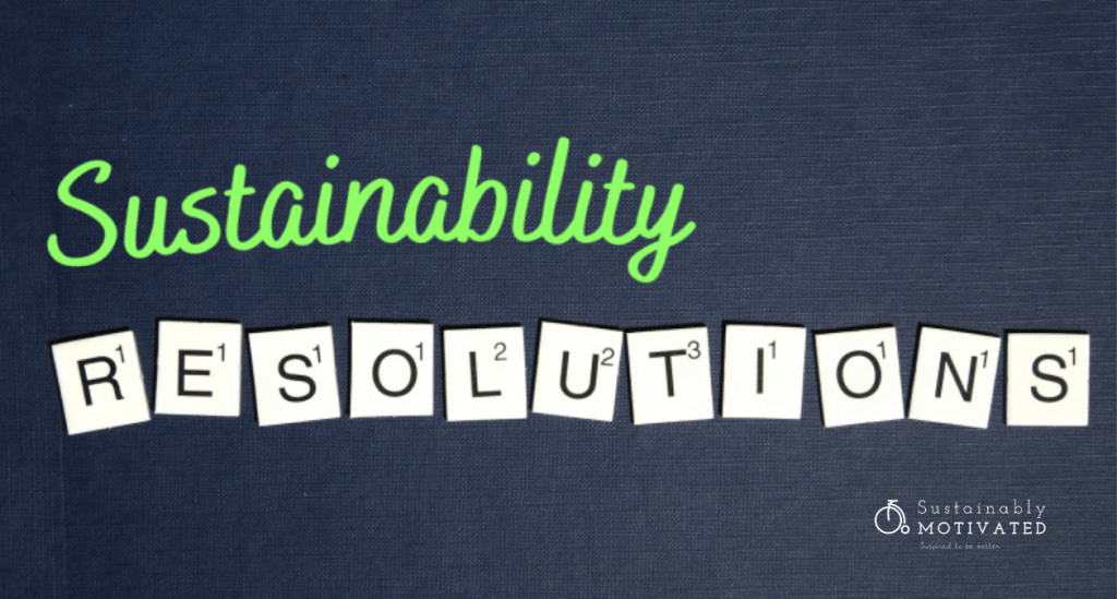Sustainability New Year's Resolutions